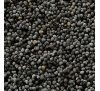 Мак снодійний (опіумний) насіння (50 шт.) / Papaver somniferum (Уцінка)